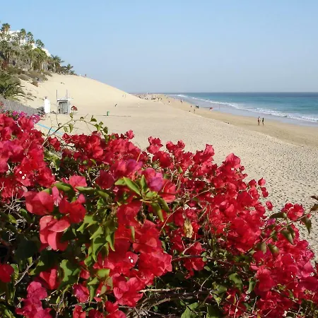 아파트 Casa Ricardo Paradise