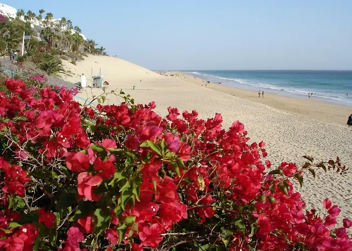 Apartman Casa Ricardo Paradise